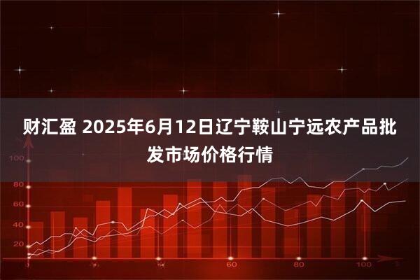 财汇盈 2025年6月12日辽宁鞍山宁远农产品批发市场价格行情