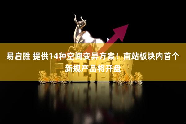 易启胜 提供14种空间变异方案！南站板块内首个新规产品将开盘