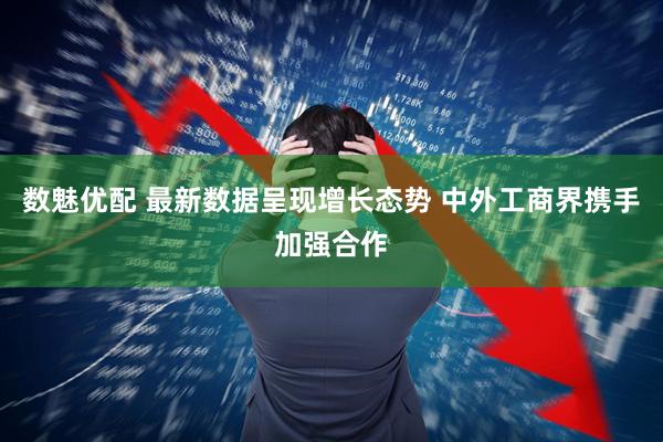 数魅优配 最新数据呈现增长态势 中外工商界携手加强合作