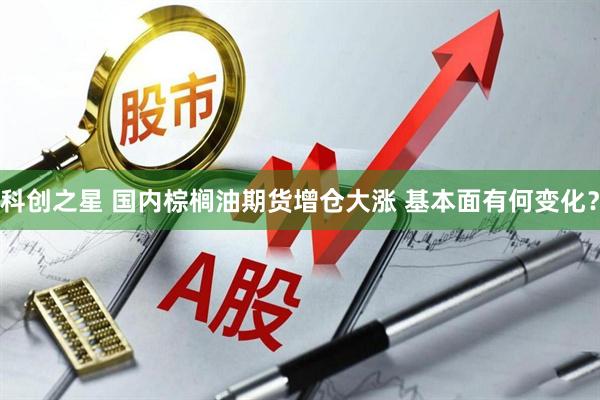 科创之星 国内棕榈油期货增仓大涨 基本面有何变化？