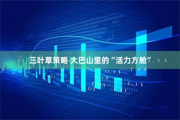 三叶草策略 大巴山里的“活力方舱”