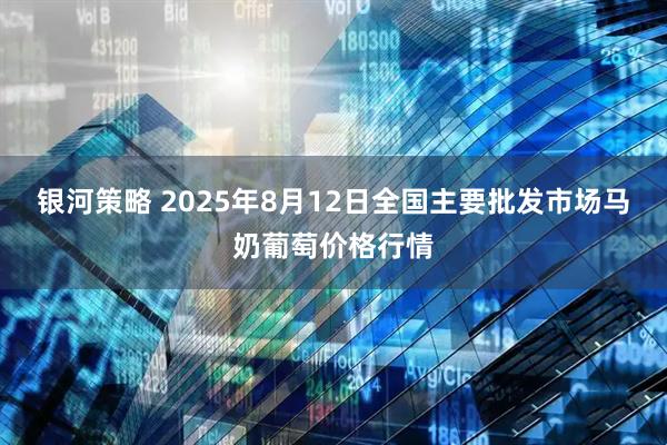 银河策略 2025年8月12日全国主要批发市场马奶葡萄价格行情
