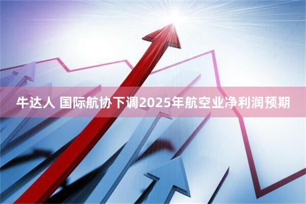 牛达人 国际航协下调2025年航空业净利润预期